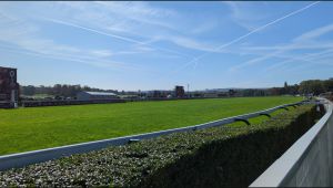 PXL_20231001_095159382.TS-frame-at-0m10s