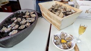 PXL_20231015_1529087943-2