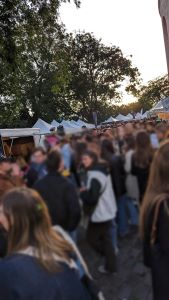 PXL_20231015_161346936-2