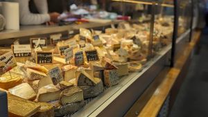 PXL_20231104_154154303.PORTRAIT-2