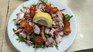 PXL_20231104_155925141.MP-2