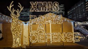 PXL_20231212_175633803.NIGHT-2