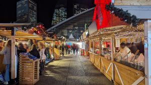 PXL_20231212_175757656-2