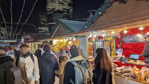 PXL_20231212_175929576.NIGHT-2