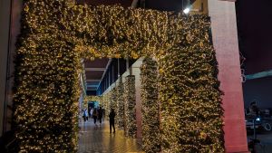 PXL_20231222_181706568.NIGHT-2