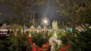 PXL_20231223_194450282.NIGHT-2