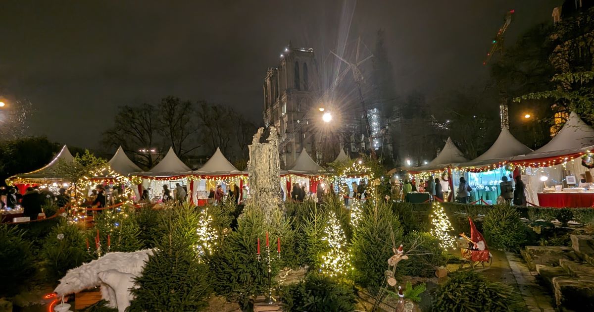 PXL_20231223_194506215.NIGHT-1