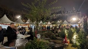 PXL_20231223_194658587.NIGHT-2