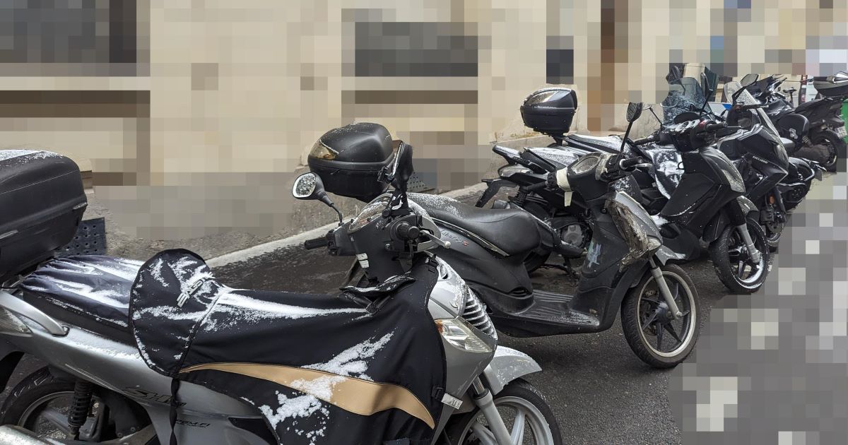 nizipapaparis.com-first-snow-january-8th-2024-4-1200