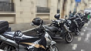 nizipapaparis.com-first-snow-january-8th-2024-6-1200-300