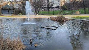 nizipapaparis.com-first-snow-january-8th-2024-7-300