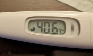 Nizipapapariscom-influenza-january-2024-3-300