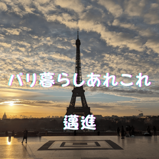 cropped-パリ暮らしあれこれ邁進.png