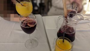 nizipapaparis.com-paris-barcelona-my-impression-2023-16-300-1