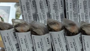 nizipapaparis.com-paris-japan-food-cost-onigiri-4-300