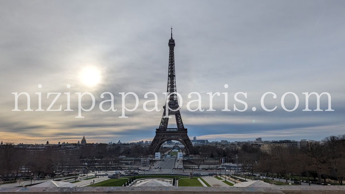 nizipapaparis.com-subdural-hematoma-akira-toriyama-march-march-1-2024-1200-8