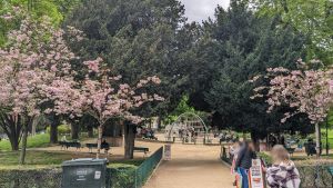 nizipapaparis.com-cherry-blossoms-paris-8-300