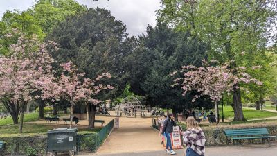 nizipapaparis.com-cherry-blossoms-paris-9-400