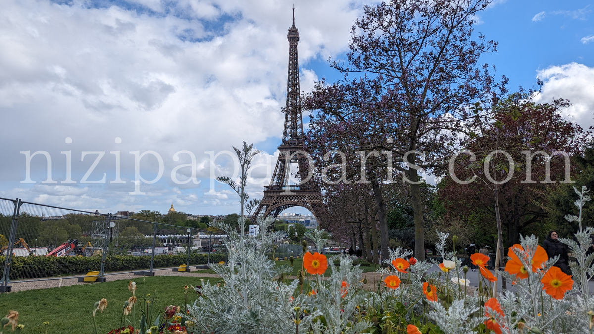 nizipapaparis.com-paris-mouse-elementary-school-1200-1