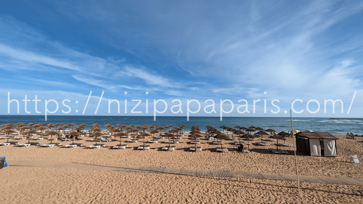 httpsnizipapaparis.com (38)