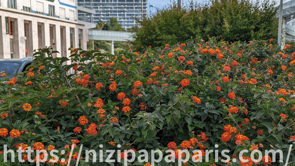 httpsnizipapaparis.com-portugal-trip-day-1-lisbon-dinner-boat-stay-36-414-1200