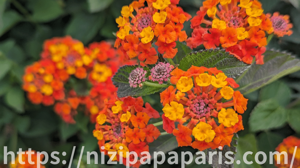 httpsnizipapaparis.com-portugal-trip-day-1-lisbon-dinner-boat-stay-37-414-1200