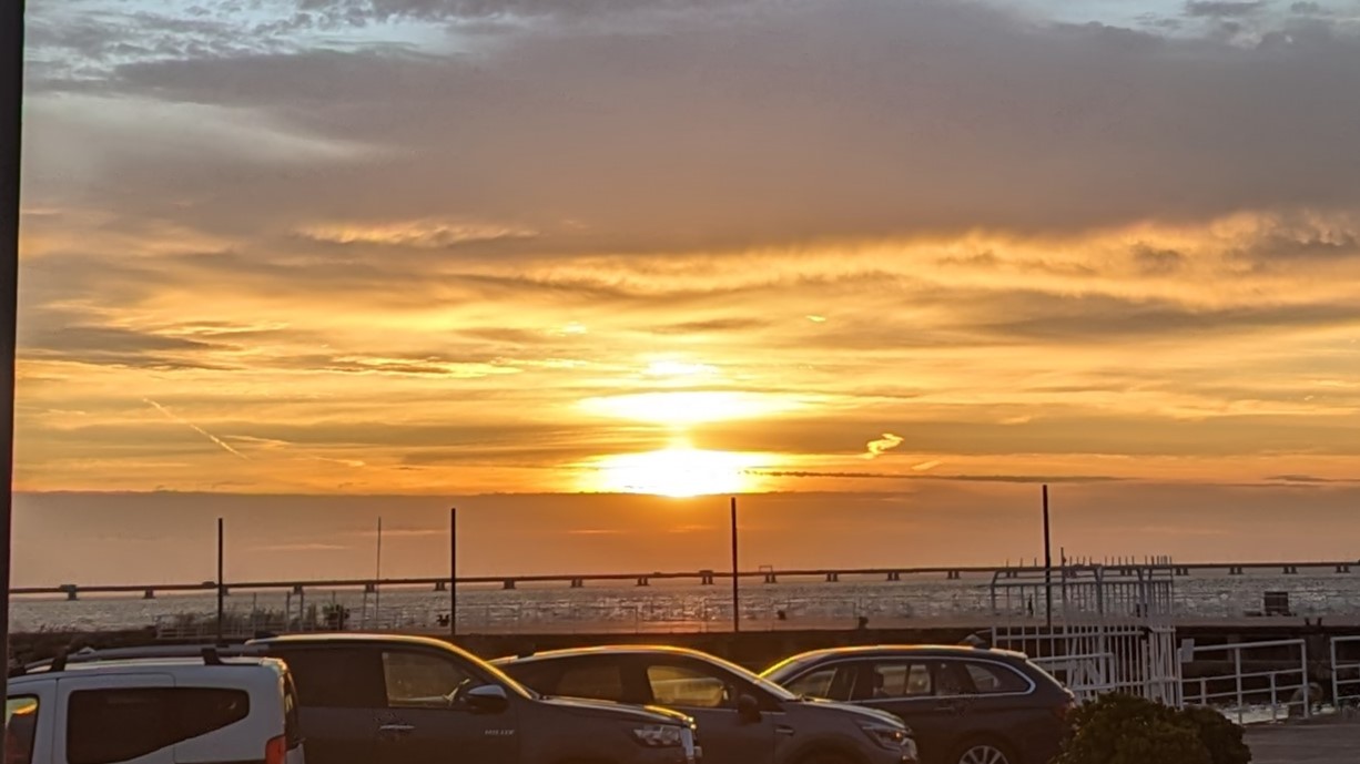 PXL_20240509_053949851-1