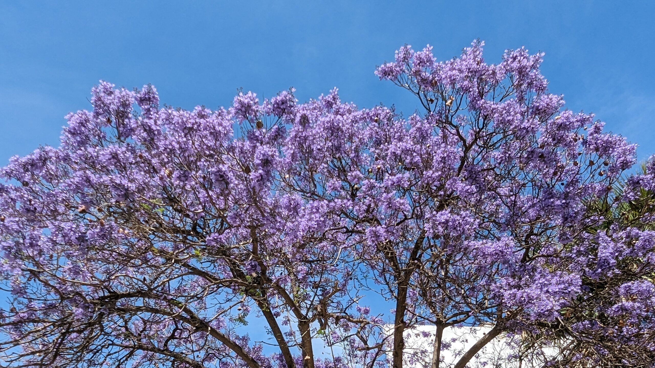 PXL_20240509_141716316