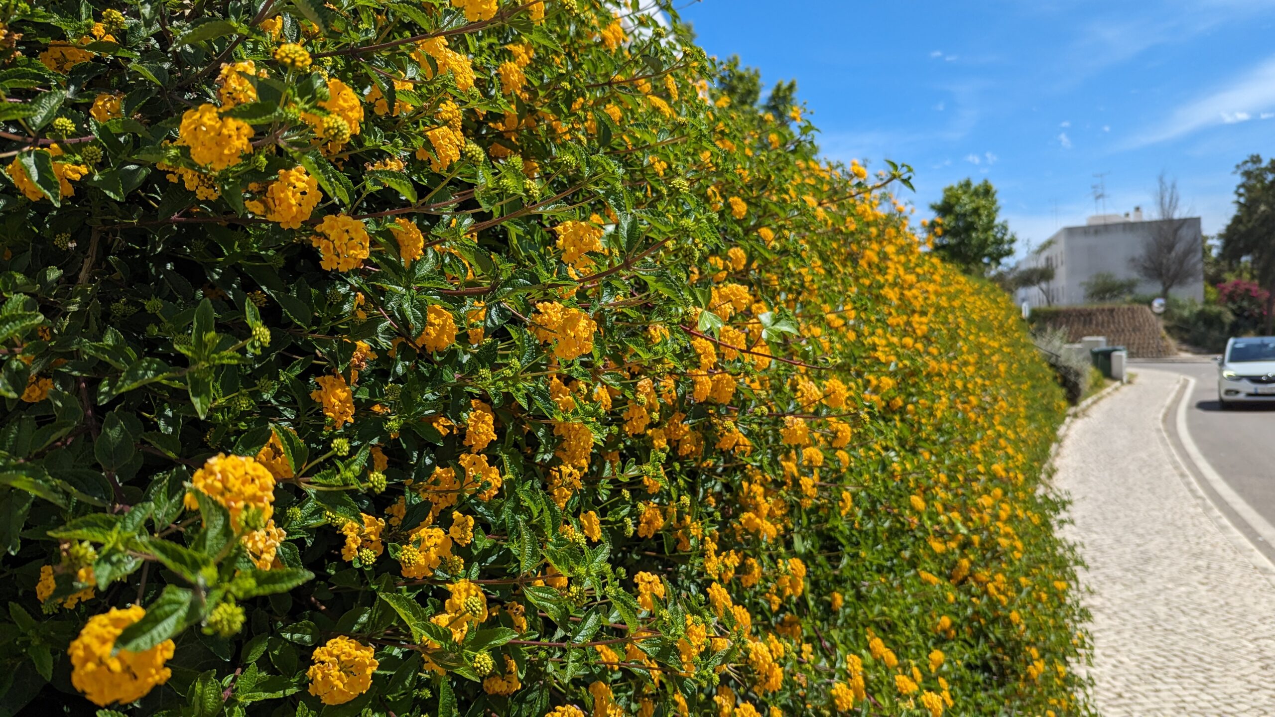 PXL_20240509_142134965.MP_