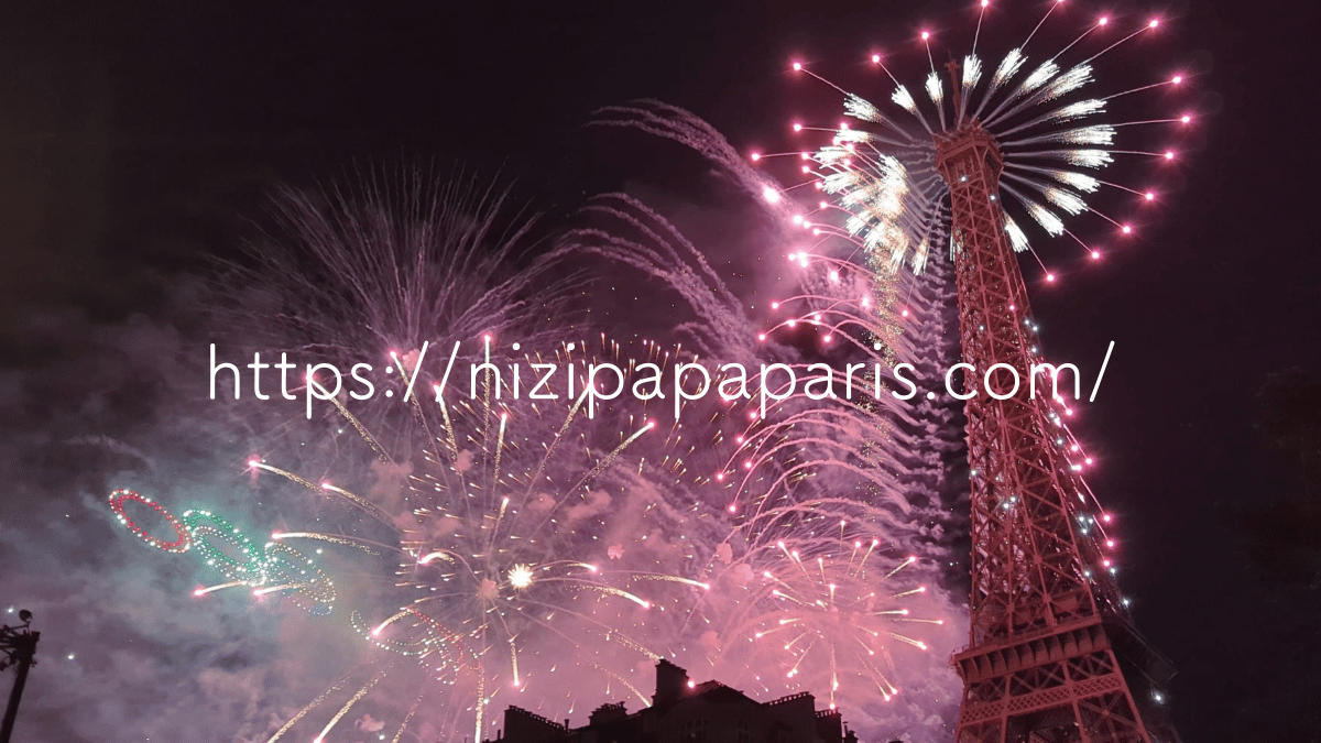 nizipapaparis.com-2024-eiffel-tower-fireworks-1000-drones-image5