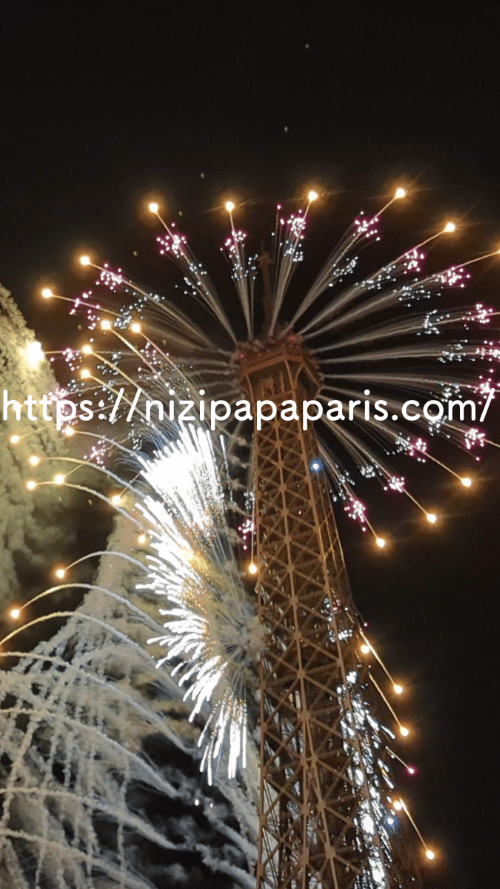 nizipapaparis.com-2024-eiffel-tower-fireworks-1000-drones-image6