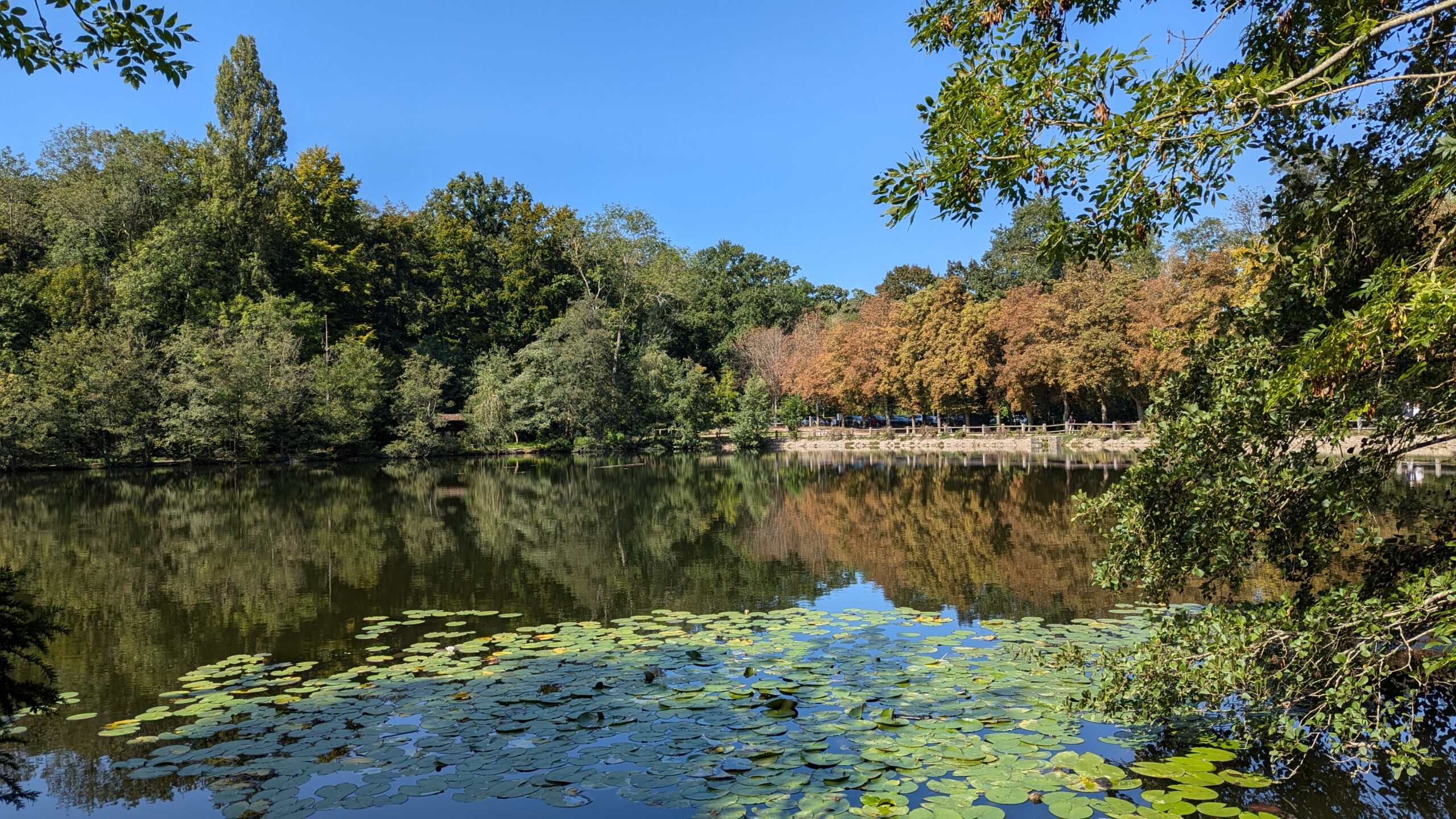 nizipapaparis.com-chestnut-picking-malmaison-image1