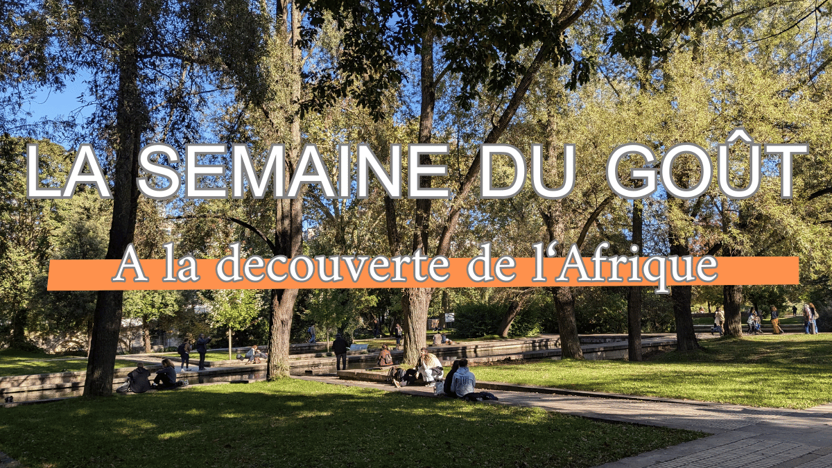 nizipapaparis.com-taste-week-african-flavors-image2